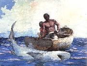 Winslow Homer Shark Fishing china oil painting reproduction